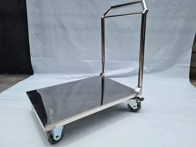 Carro plataforma em inox — Hospitalar em aço inox